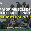 The Crucial Role of a Strong Posterior Chain in Pickleball